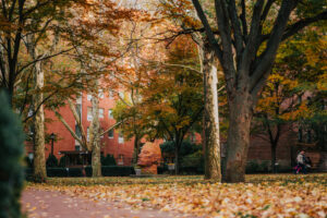 Alumni - Pratt Institute