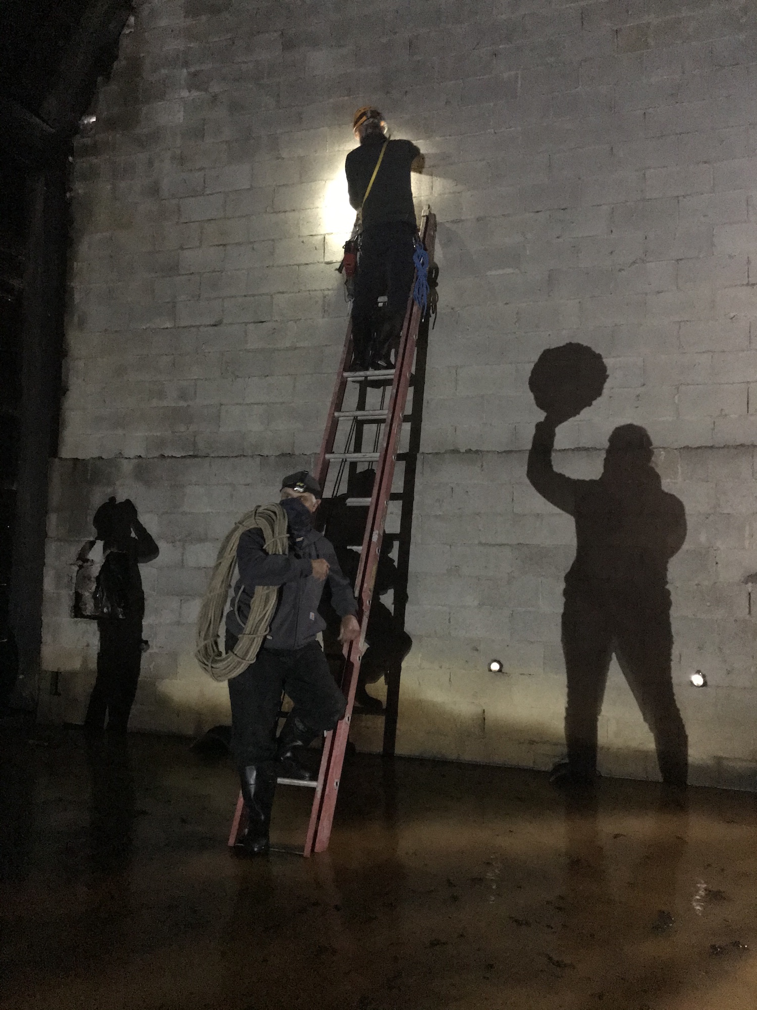 A figure in dark clothing ascends a ladder, shining a light at a dark gray brick wall. At the base of the ladder, a masked figure in dark clothes carries a spool of light brown material on their shoulder. The shadow of a person holding a circular form aloft stretches across the wall. In the corner, another figure in all-black clothing faces toward the wall.