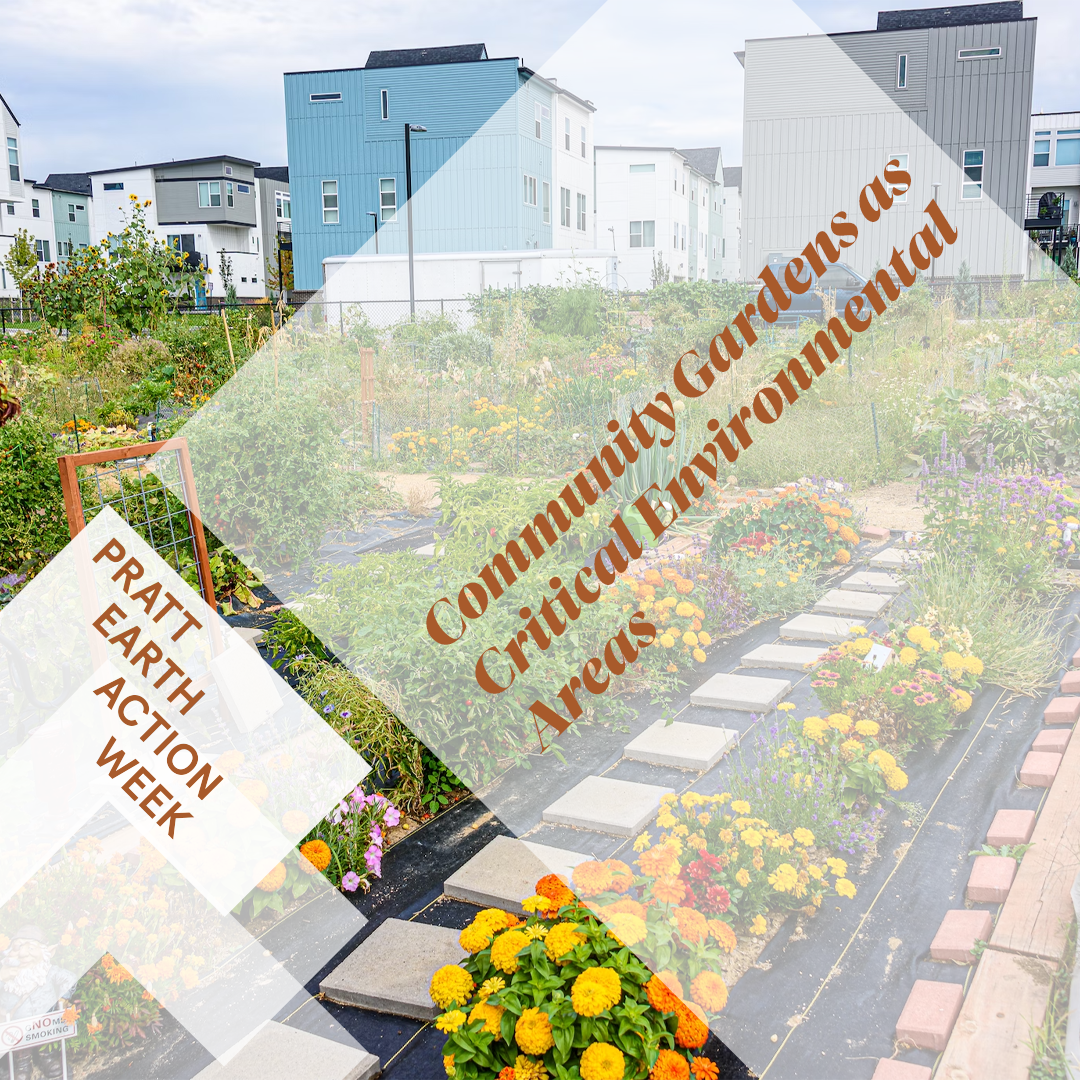 An image of the event poster. As the backdrop image, it has a garden in the foreground, with many flowering plants. Behind the garden are several houses.