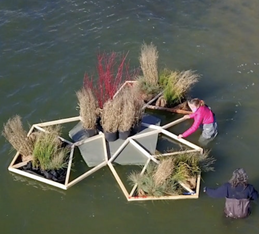 A person tending to an aquaculture setup on a body of water.