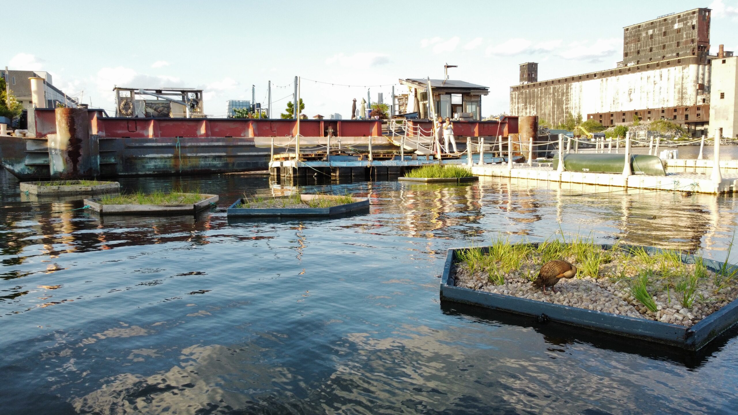 BlueBlock Gardens in Red Hook