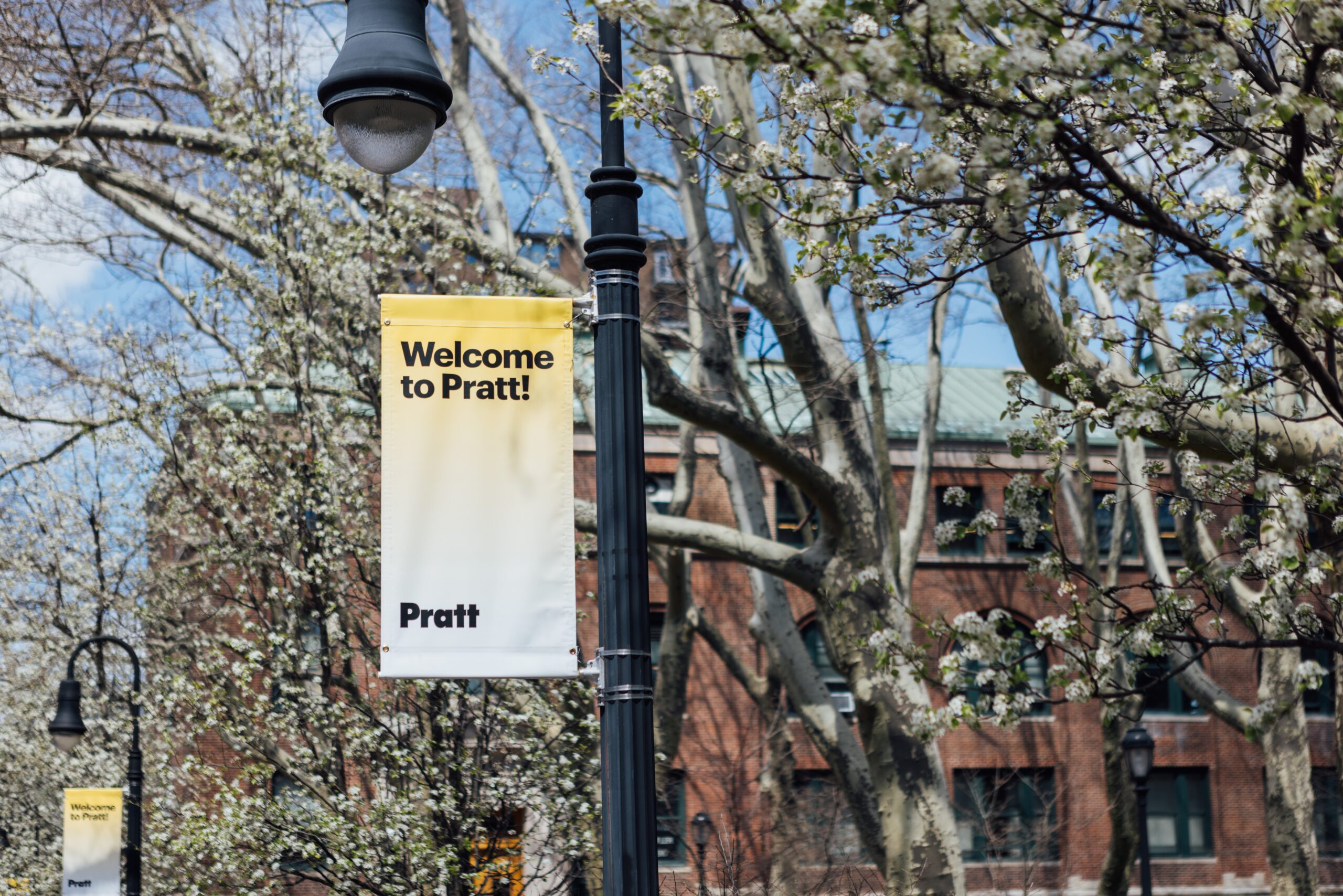 Image of a lamp post in the Brooklyn campus with a 