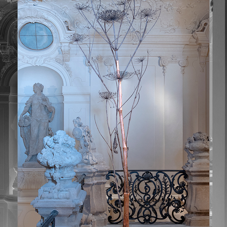 plant/trees like puff dandelions in a roman like mansion home in black and white and shades of grey