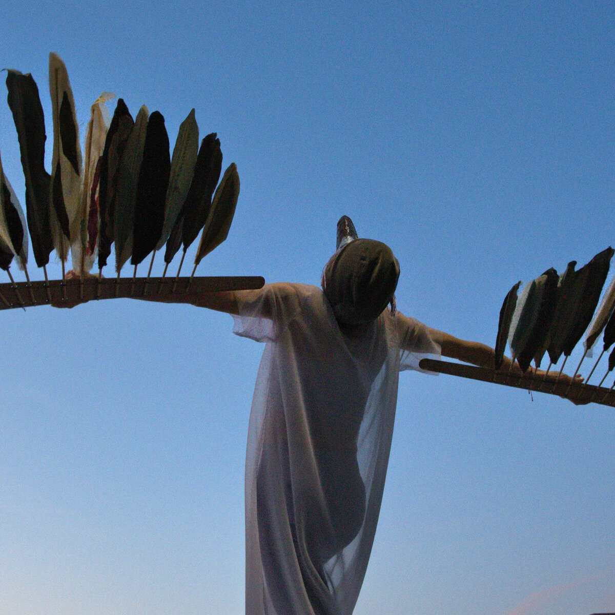 Dancer wearing a bird costume with arms stretched out and head pointed upwards