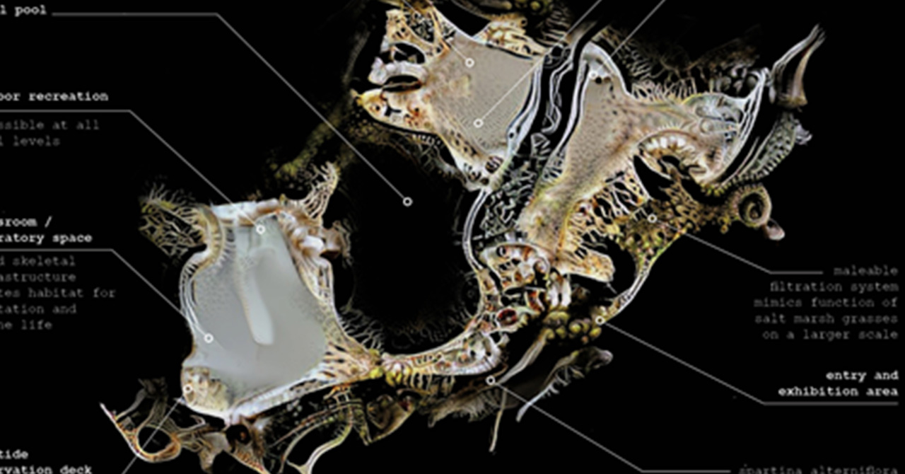 aerial view of terrain