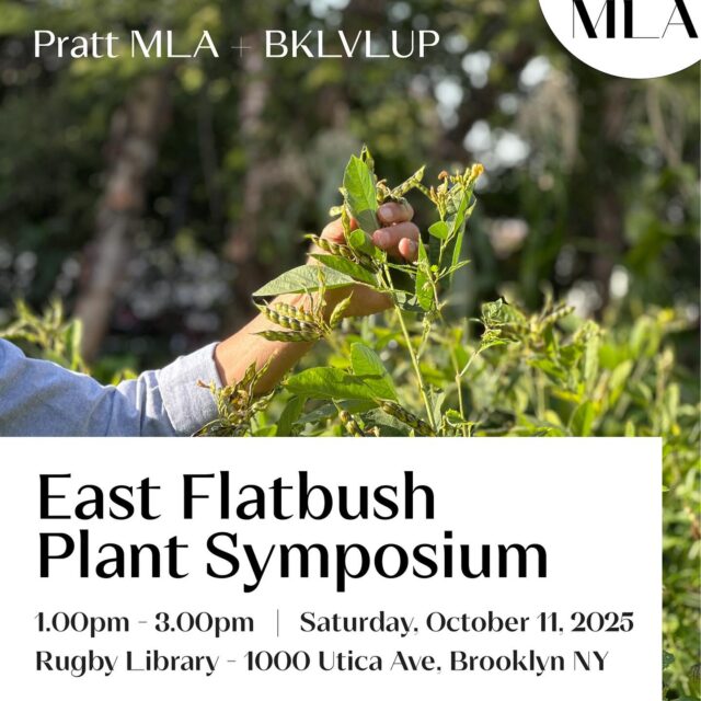 This Saturday, Pratt MLA students in the Land III Borough Studio will join community partner @bklvlup for a Plant Symposium in East Flatbush. 
Together, we discuss the benefits of plants that can thrive in the neighborhood and address environmental issues such as access to open space, flooding, extreme heat, air quality, and food sovereignty.
Join us on October 11 from 1-3pm at Rugby Library for conversation and some light refreshments.
@prattinstitute @prattsoa @pratt_galaud 
#landscapearch #community #codesign #climatejustice #prattmla #bklvlup #eastflatbush #plants #brooklyn