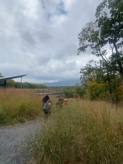 LAR601 | Land Studio I: Region
Fall 2025 | Professor Mark Heller
The Field School teaches students how to engage with local environmental issues and learn about landscape history. As a part of their first semester studio, they work on skills such as plant identification, hydrological analysis, seed foraging, and habitat creation, and also discuss the complexities of ecological change, settler heritage, and the rich plant and animal life of the Catskills region. They learn how important this region was to creating Brooklyn, and why it continues to sustain life in the city.
The first semester core studio introduces students to landscape design strategies and techniques at the scale of regional dynamics. This is a fundamentals course that reveals landscape through uncertainty with emphasis on watersheds and habitats. The studio attends to changing landscape patterns at multiple temporal and spatial scales; from the scours of geology, to indigenous land-use, forest migration and urban settlements. In Land Studio I, students increase their skills and ability to describe, define and expand environmental dynamics through landscape-specific methods of analysis and assessment, while design is revealed as a process of collaboration across more than human timescales.
Photos and Videos provided by Elliott Maltby and Ursula Barker
@urzulka 
#PrattInstitute #PrattSOA #PrattGALAUD #PrattMLA #MLA #LandscapeArchitecture #Landscape #FieldWork #FieldSchool #Catskills