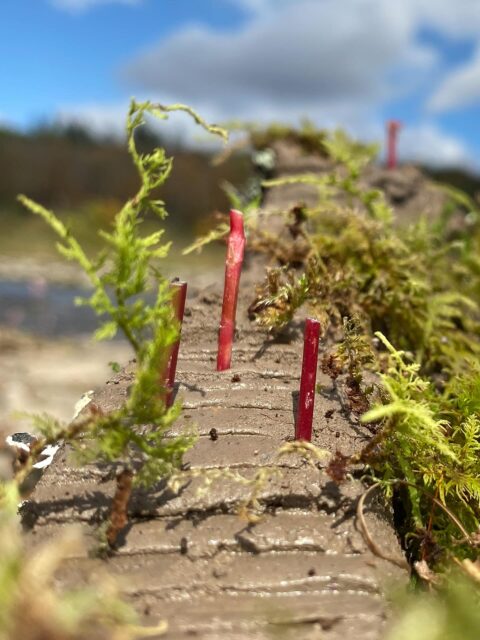 LAR601 | Land Studio I: Region
Fall 2025 | Professor Mark Heller
The Field School teaches students how to engage with local environmental issues and learn about landscape history. As a part of their first semester studio, they work on skills such as plant identification, hydrological analysis, seed foraging, and habitat creation, and also discuss the complexities of ecological change, settler heritage, and the rich plant and animal life of the Catskills region. They learn how important this region was to creating Brooklyn, and why it continues to sustain life in the city.
The first semester core studio introduces students to landscape design strategies and techniques at the scale of regional dynamics. This is a fundamentals course that reveals landscape through uncertainty with emphasis on watersheds and habitats. The studio attends to changing landscape patterns at multiple temporal and spatial scales; from the scours of geology, to indigenous land-use, forest migration and urban settlements. In Land Studio I, students increase their skills and ability to describe, define and expand environmental dynamics through landscape-specific methods of analysis and assessment, while design is revealed as a process of collaboration across more than human timescales.
Photos and Videos provided by Elliott Maltby and Ursula Barker
@urzulka
#PrattInstitute #PrattSOA #PrattGALAUD #PrattMLA #MLA #LandscapeArchitecture #Landscape #FieldWork #FieldSchool #catskills