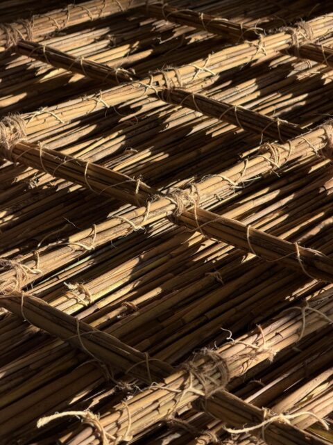 LAR 772 | LANDSCAPE RESEARCH I
Fall 2025
Professor Mariel Collard
.
A fascine mattress is a large, hand-woven mat traditionally made from thousands of
willow twigs, historically used in Dutch hydraulic engineering to reinforce coastal structures and underwater surfaces like riverbeds, dykes, and coastal banks from scour. Dating back over 400 years, these mats—sometimes up to 500 feet long—are constructed by bundling willow twigs into fascines, weaving them into a wattle and layering reeds for sand-tightness. Once assembled on land, they are towed to their destination and sunk with heavy stones. Sourced from tidal coppice plantations, the willow wood is exceptionally durable underwater, with some mattresses lasting centuries. Though modern versions may use synthetic materials, fascine mattresses remain a sustainable, low-tech solution still used internationally in engineering projects. For their final assignment, third semester landscape students explored the making of a fascine mattress using common aggressive plants in New York City’s Metropolitan Area, harvested from a site visit to Losen Slote in the New Jersey Meadowlands.
.
Photos by Mariel Collard. Section Drawing by Greta Lincoln, MLA ‘27.
.
#Pratt #PrattInstitute #PrattSOA #prattgalaud #PrattMLA #MLA #LandscapeArchitecture 
#Landscape #architecturemodel #LandscapeArchitectureModel #LandscapeModel 
#Landscapes #StudentWork #LandscapeResearch  #LowTech #WillowWeaving #GreenTechnology #TraditionalKnowledge #SustainableConstruction #ShorelineStabilization