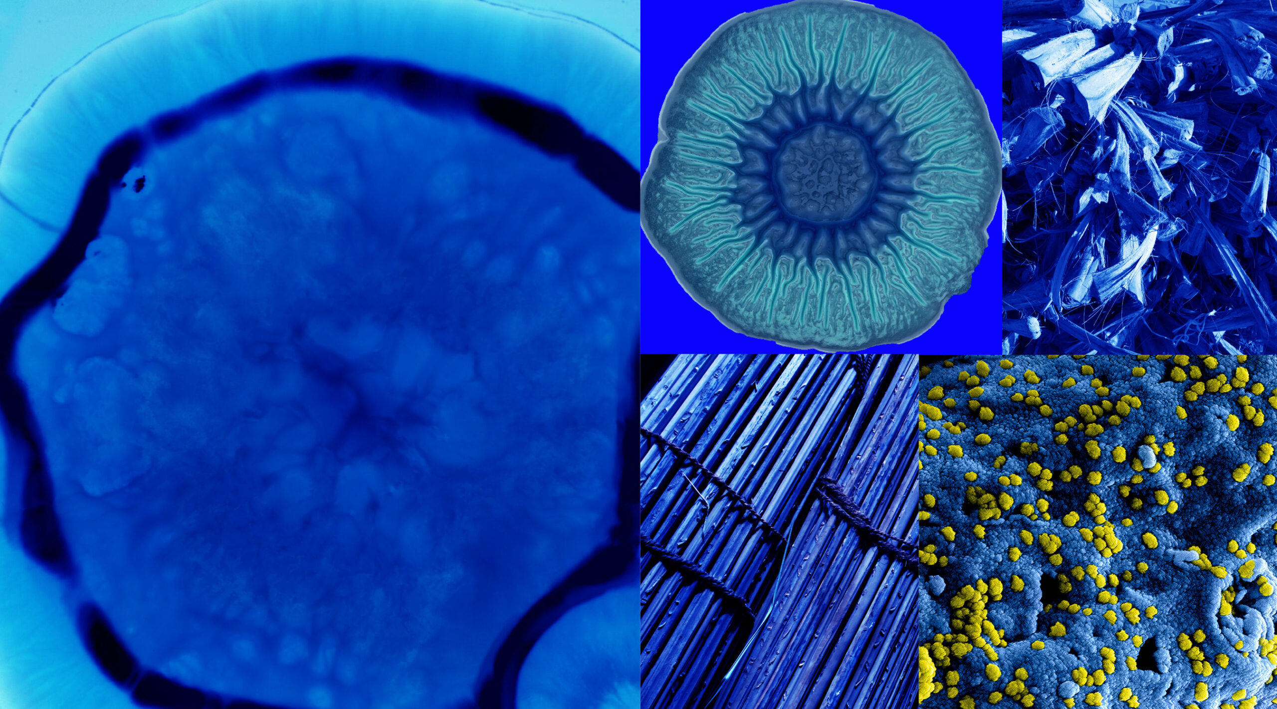 Collage of scientific and organic textures in vivid blue tones, featuring magnified views of microorganisms, plant fibers, and natural materials, symbolizing the intersection of biology and technology in hybrid habitats.