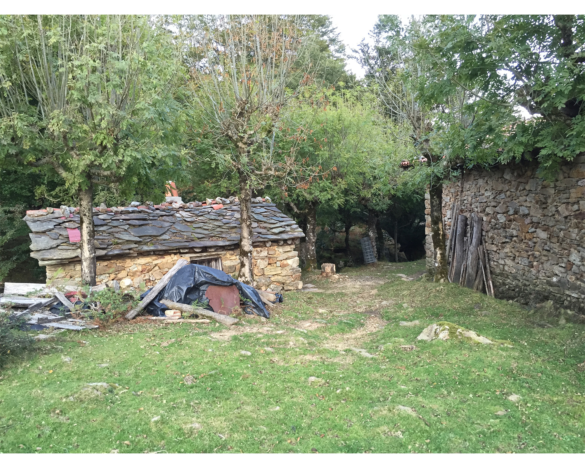 A shepherd's hut and sheepfold on the commons at Leitza. Note the pollarded ash trees, whose dried leaves are used for fodder.