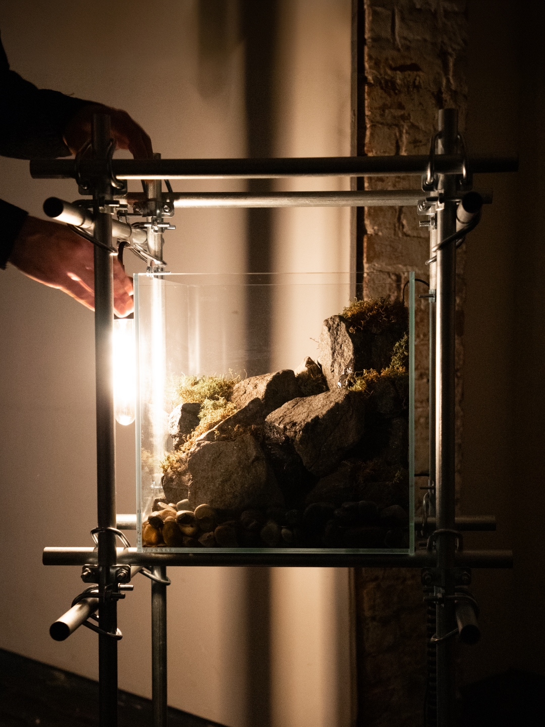 A person is adjusting a light near a glass enclosure filled with rocks and moss. The enclosure is supported by a metallic frame, and the light source casts a warm glow, illuminating the natural elements inside. The background appears to have a textured wall, accentuating the artistic setup.