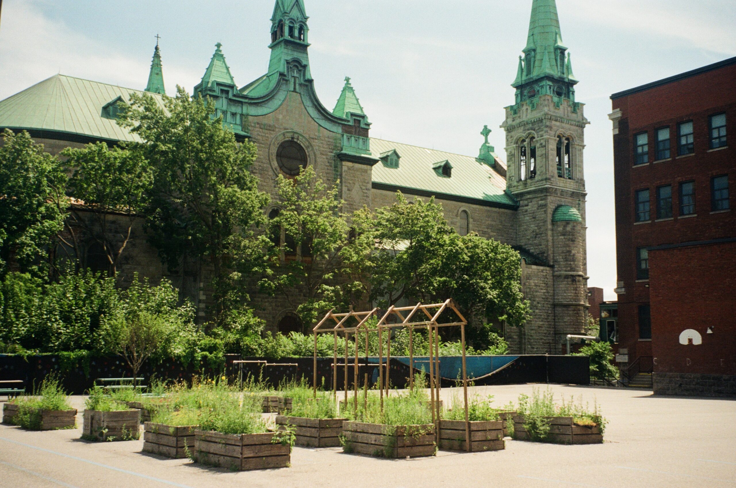 A stone building with green spires and a large window is shown in the background, surrounded by trees. In the foreground, there are wooden planters with various plants and a wooden structure resembling a garden frame. A red brick building is visible to the right, partially obscured by trees. The scene is set under a clear sky with sunlight.