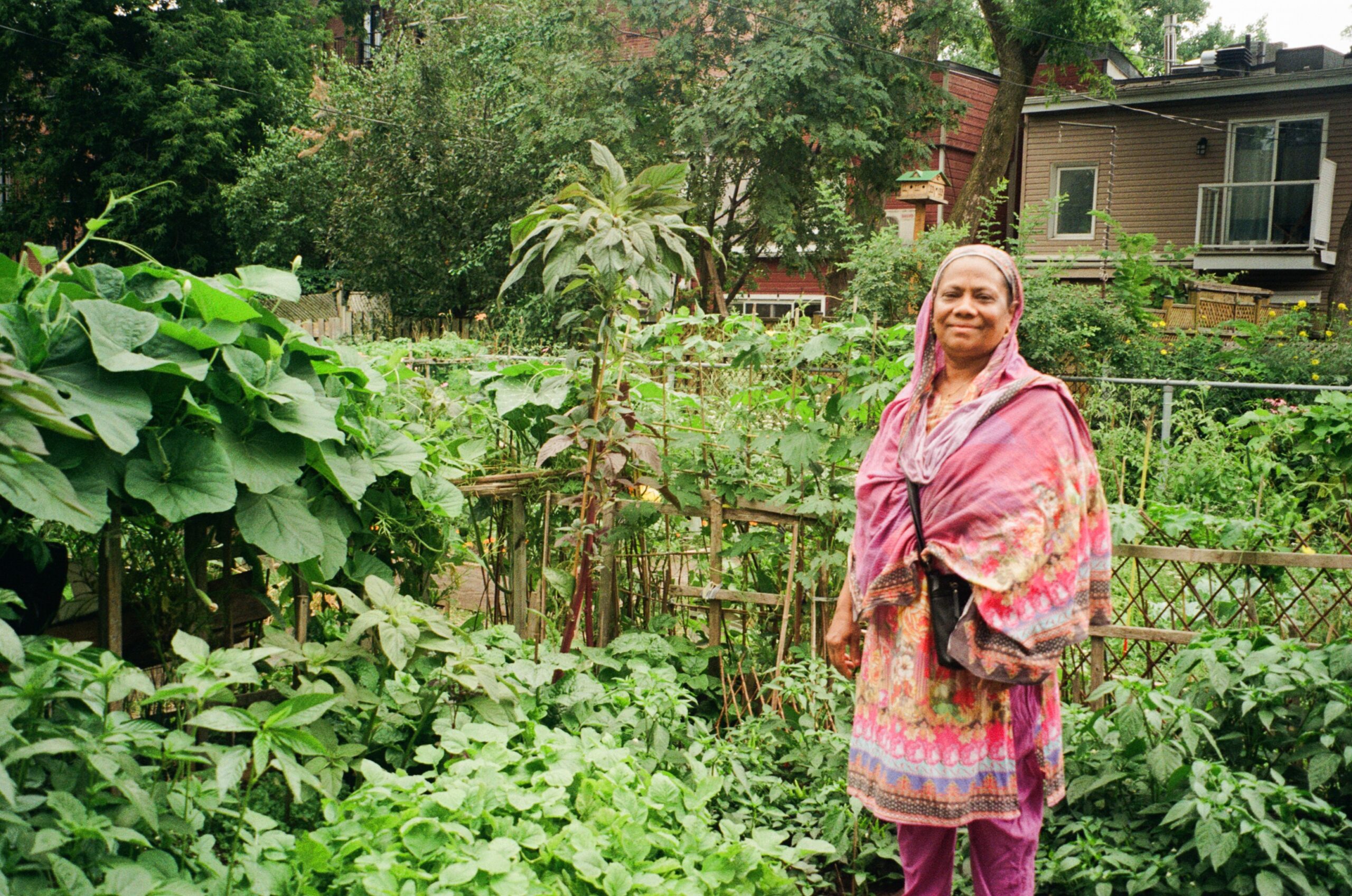 A woman stands happily in a lush, green garden filled with various plants and vegetables. She is wearing a colorful, patterned outfit and a scarf. The garden features tall leafy plants and a wooden trellis in the background, with a house visible behind the greenery. The atmosphere is vibrant and lively, indicating a flourishing garden.