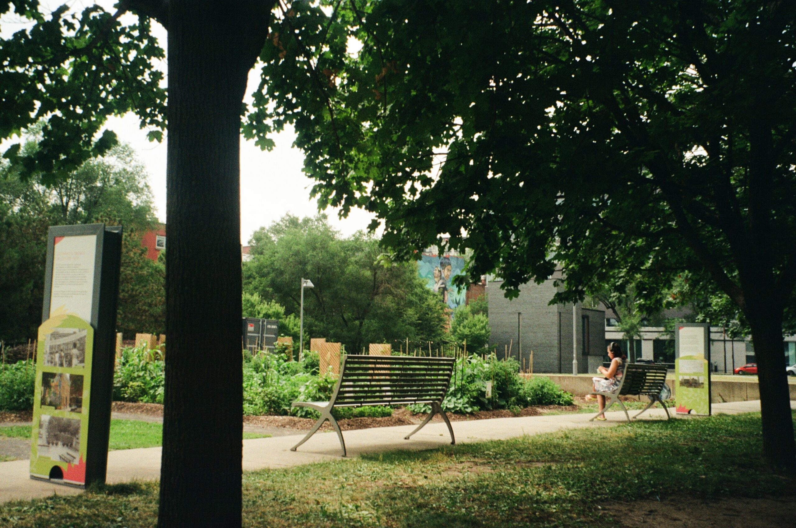 A park scene featuring a pathway with two metal benches on either side. One bench is occupied by a person sitting and reading. Lush green plants and a community garden are visible in the background. Informational signage is positioned nearby, and the area is shaded by large trees. In the far background, there are urban structures and a mural. The atmosphere is calm and serene.