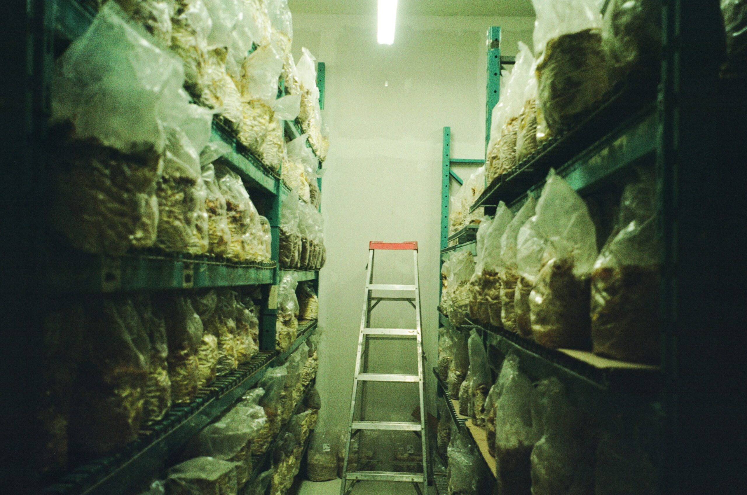 A narrow storage room with tall shelves on both sides, filled with clear plastic bags containing various items. In the center, there is a metal step ladder with a red top. The lighting is dim, highlighting the bags and the green shelves against a pale wall.