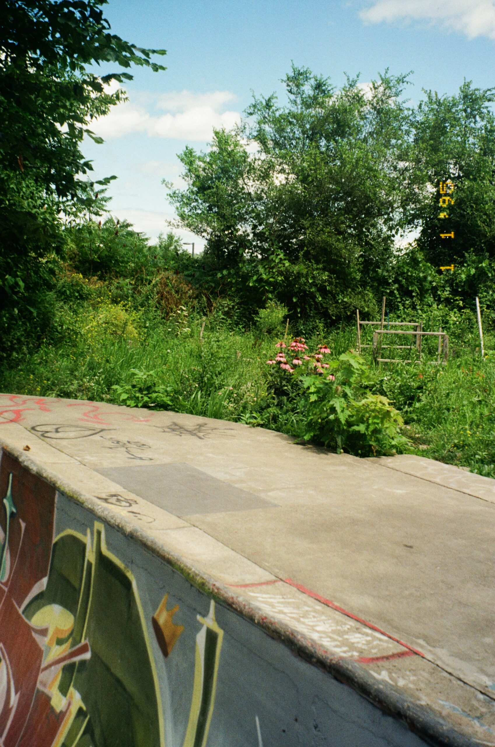 A concrete skatepark edge with graffiti overlays is in the foreground, while lush greenery fills the background. Bright pink flowers and various plants are visible along the edge of the park. The sky above is partly cloudy, with blue patches visible.