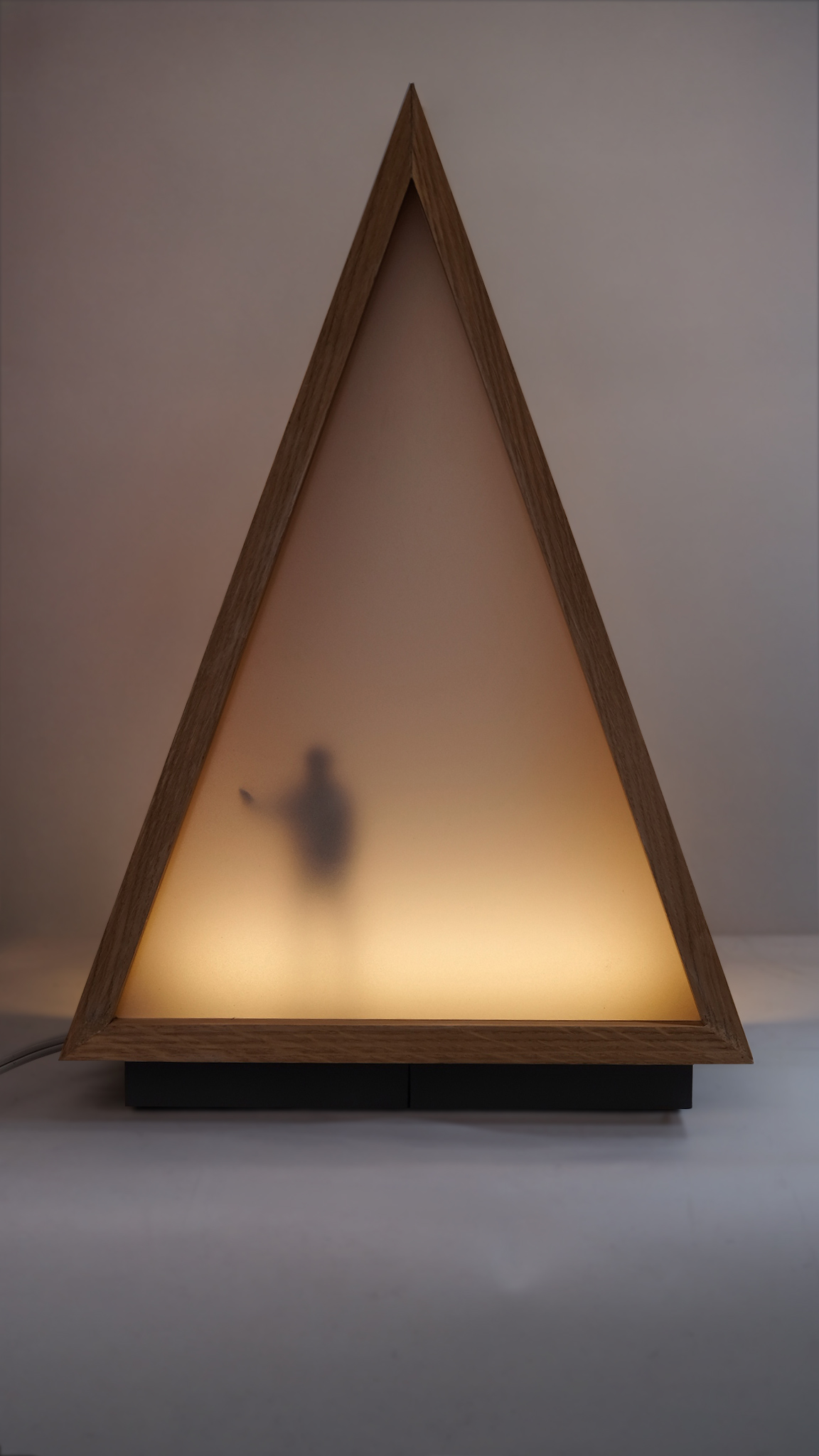 Reverse of triangular lighting fixture.