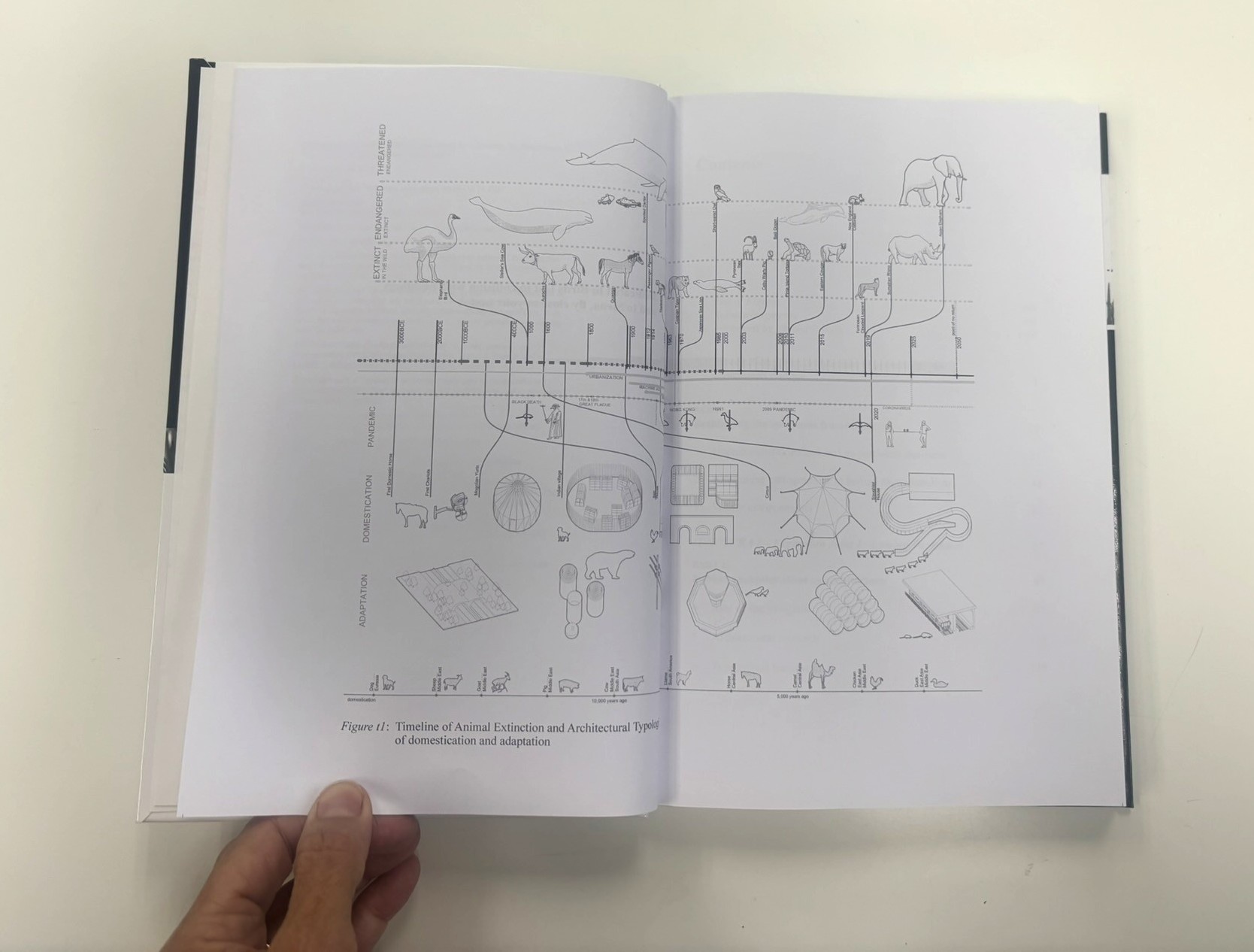 An open book spread featuring 