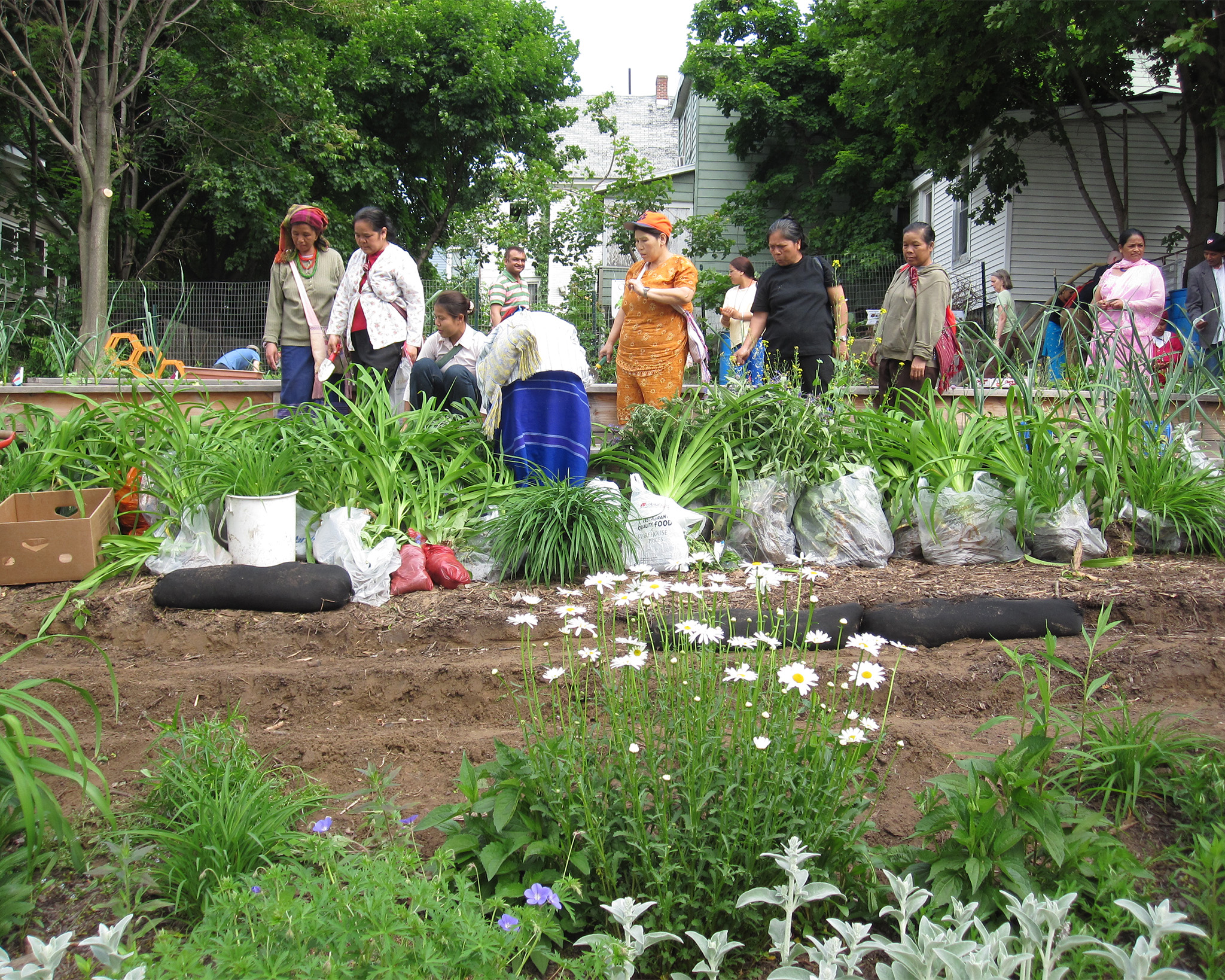Group of refugees in a community garden.