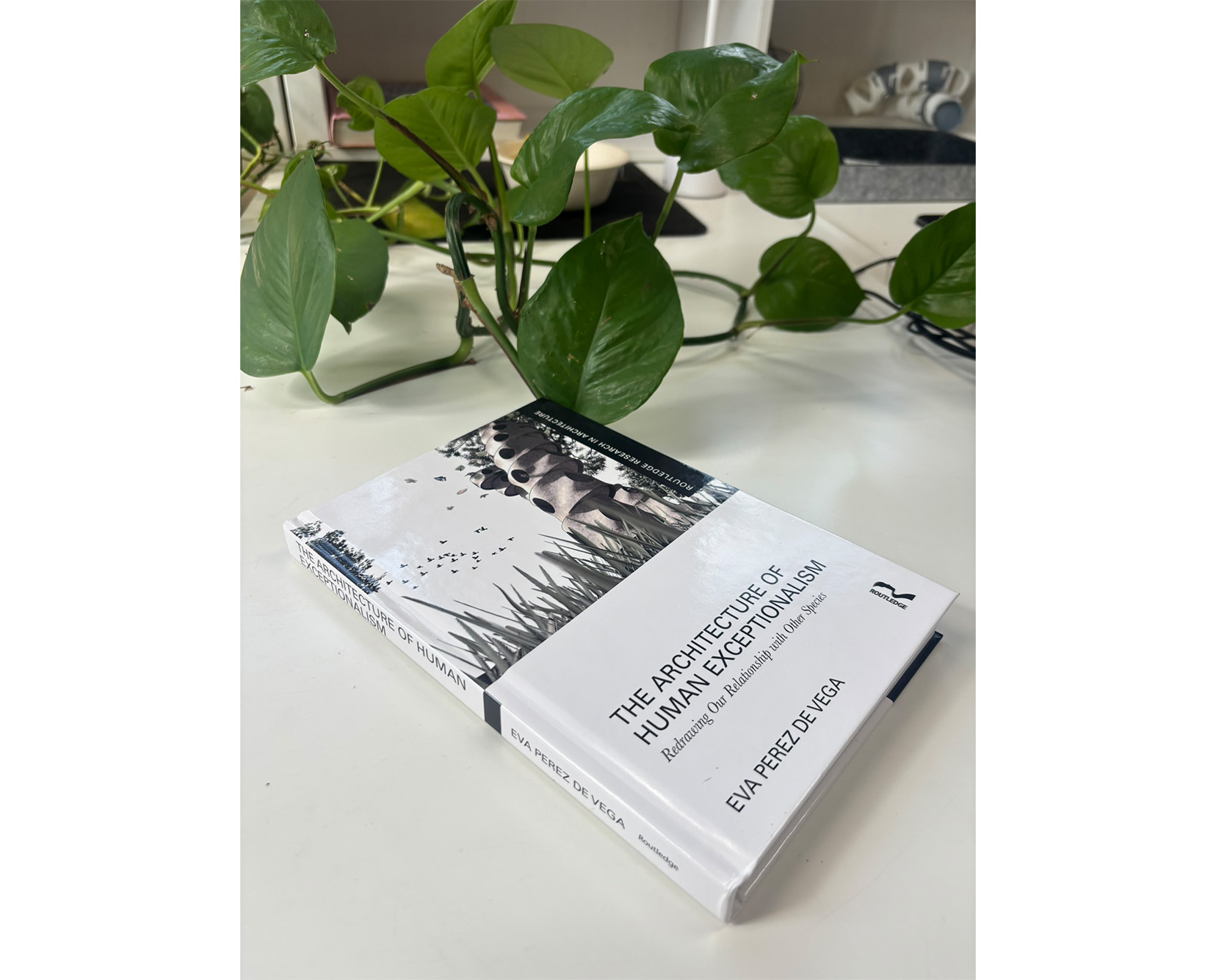 A physical copy of the book 