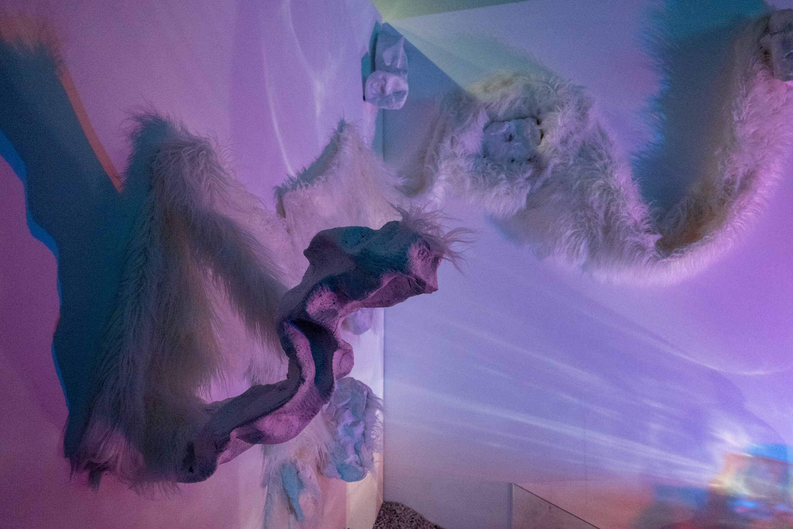 Installation in gallery corner washed in purple and pink light, with furry shapes and figures projecting off the walls