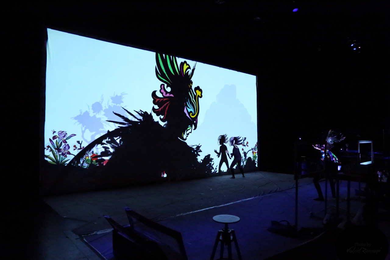 A screen in a dark room projecting an elegantly designed shadow puppet.