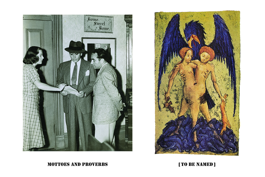 A poster for the Naming of Things Picture Collection that has two pictures side by side on white background.