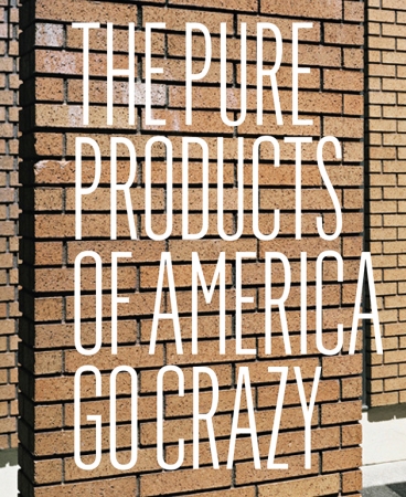 A poster with an image of a brick wall for its background with the title of the event "The Pure Products of America go Crazy" on top.