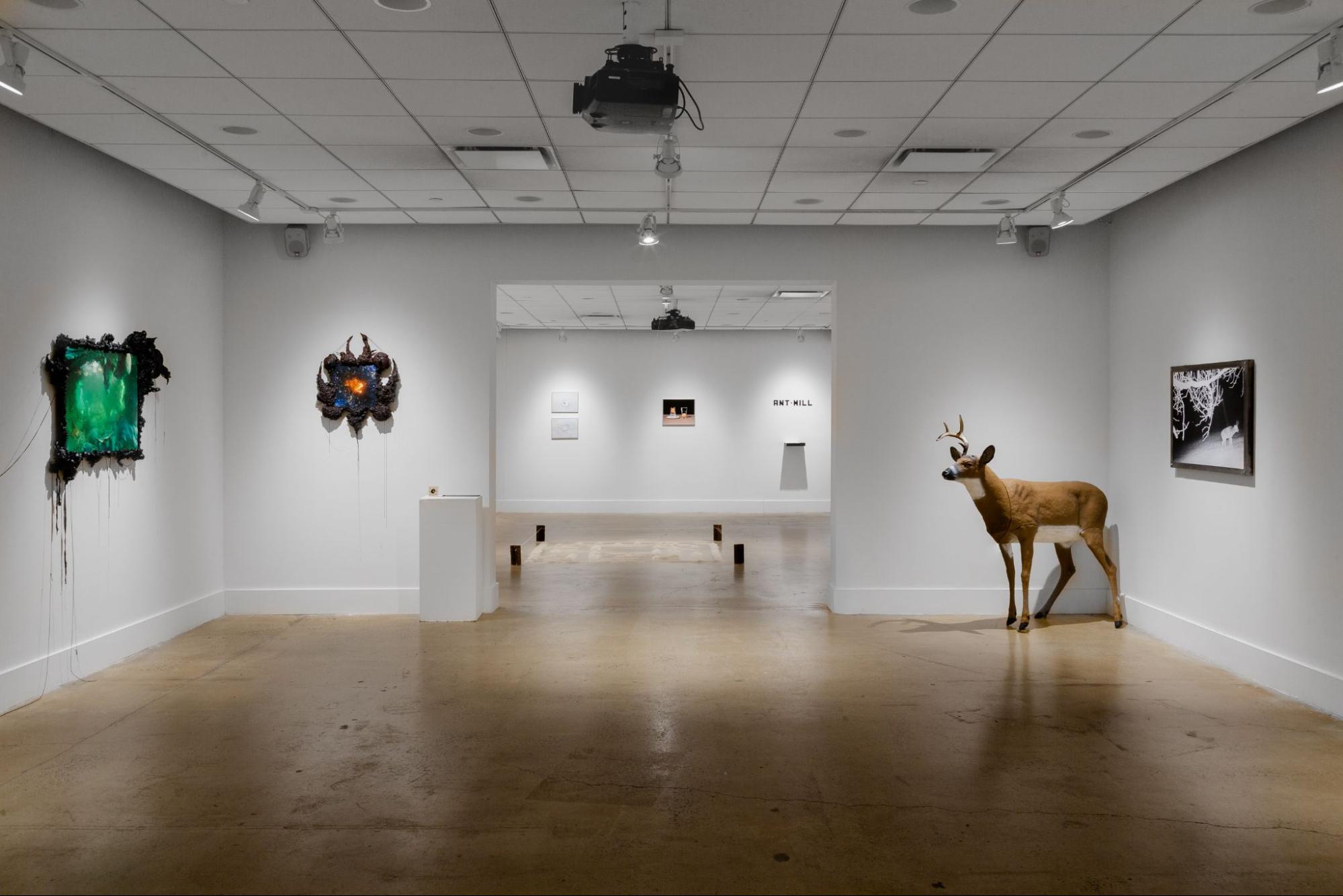 The Pratt Photography Gallery, exhibition space used by both the BFA and MFA programs in Photography