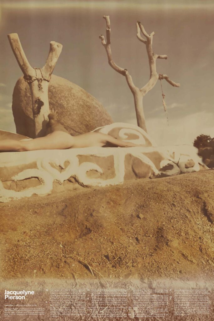 A shot of a primitive sculpture captured onto stone. There is a dried-up tree in the background.