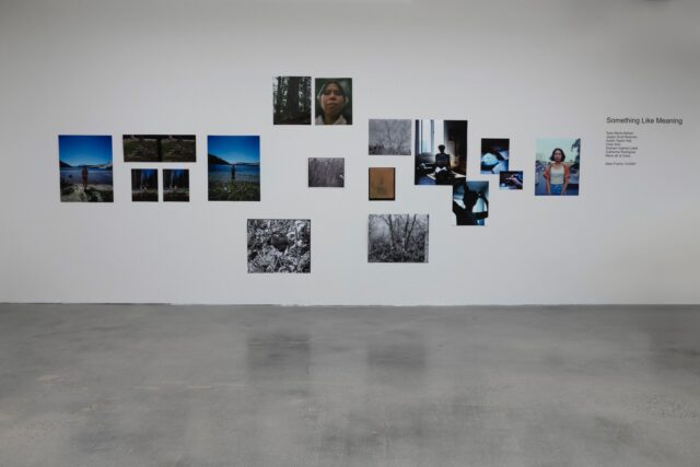 A look back at Something Like Meaning, a second-year graduate student exhibition curated by Allen Frame ✨

@allenframenyc
@werunaways 
@saraadrianiphotos
@markallen.Itd
@chen._kan
@grahamlittell
@de.la.ossa
and Catherine M Rodriguez