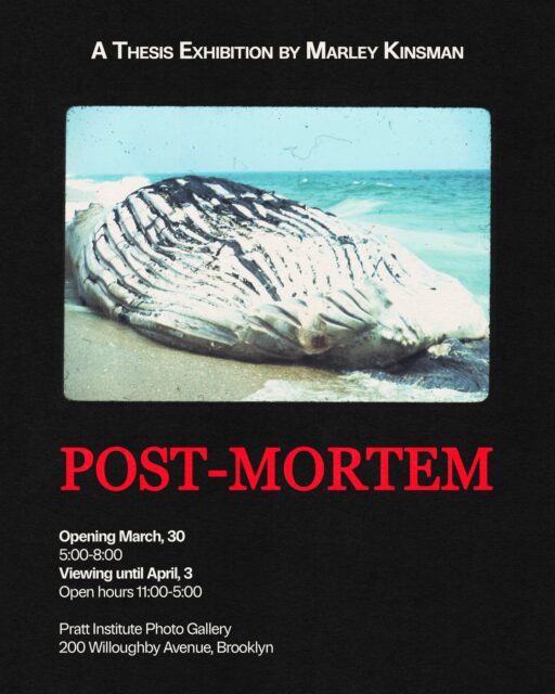 The next round of BFA Senior Thesis Exhibitions opens TODAY ✨ featuring:

Post-Mortem by Marley Kinsman

God Granted Me 1,295 Weeks of Patience by Zach Hussein

What If They Never Will by Stella Kowalsky

Sonority by Zoey Knipstein

🗓️ Opening Reception: today 3/30, 5–8PM
🕙 Tuesday–Friday 11AM–5PM
📍 Pratt Photography Gallery, LL ARC

We hope to see you there! ☺️

Congratulations Marley, Zach, Stella, and Zoey! 👏

@prattinstitute @soartpratt @mkiinsman @yaabuzookvisual @st3114._.o @zoeyknipstein_