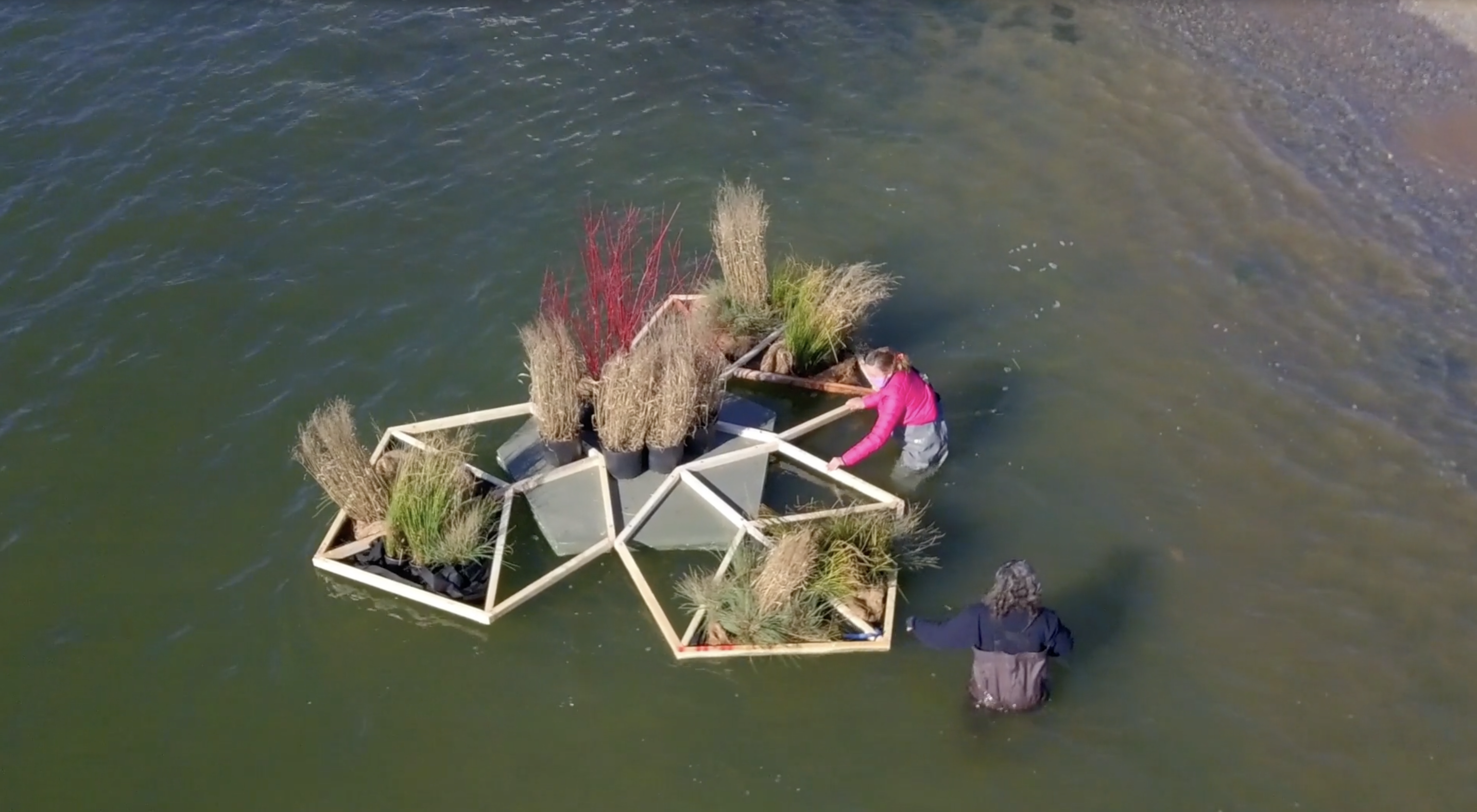 aerial shot of a body of water