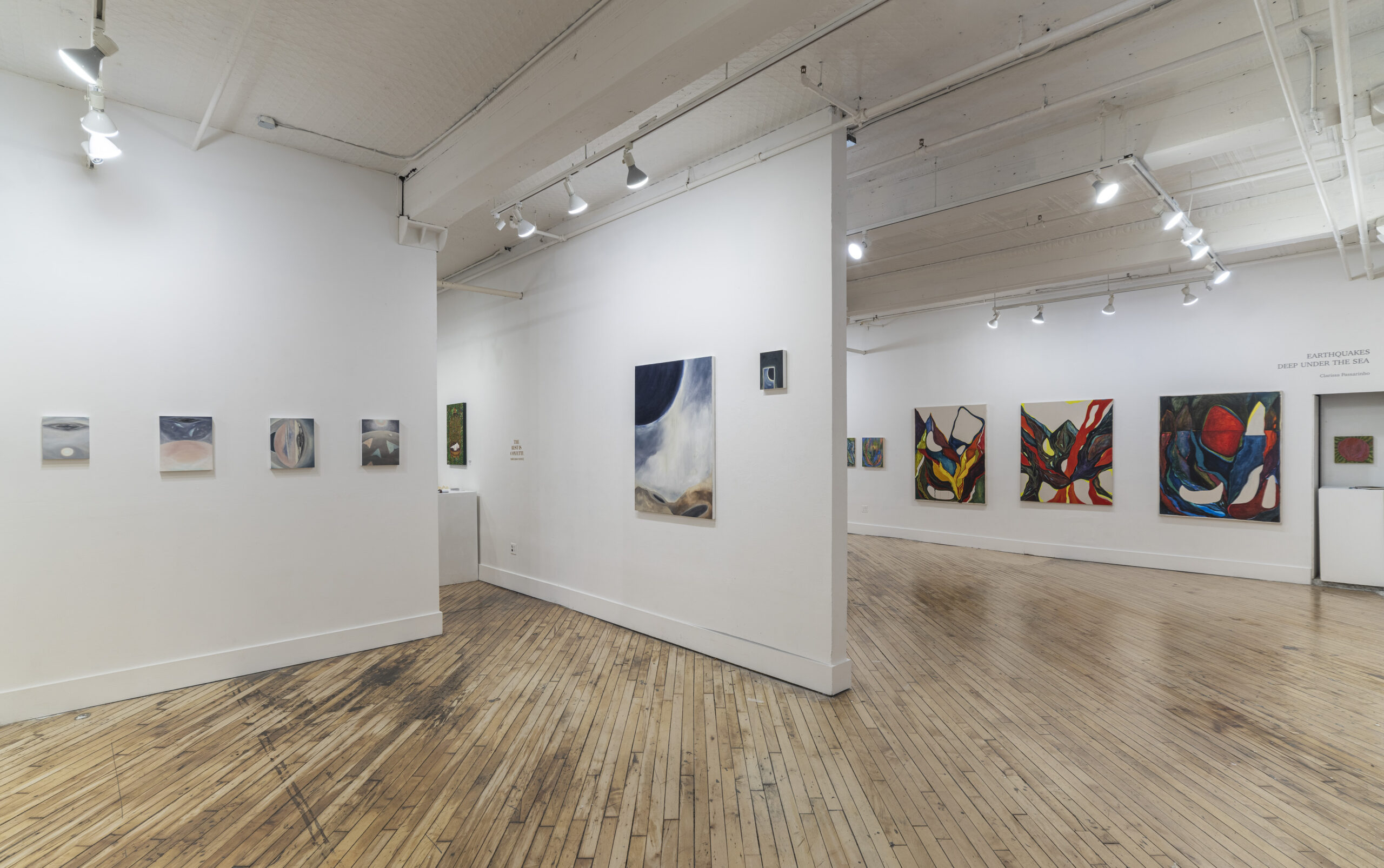 An art gallery space with wooden flooring and white walls, showcasing various abstract paintings. Some paintings are mounted on canvas, while others are displayed on fabric hung with clothespins. The lighting setup features multiple overhead spotlights. A mix of colors, textures, and materials creates a visually dynamic presentation.