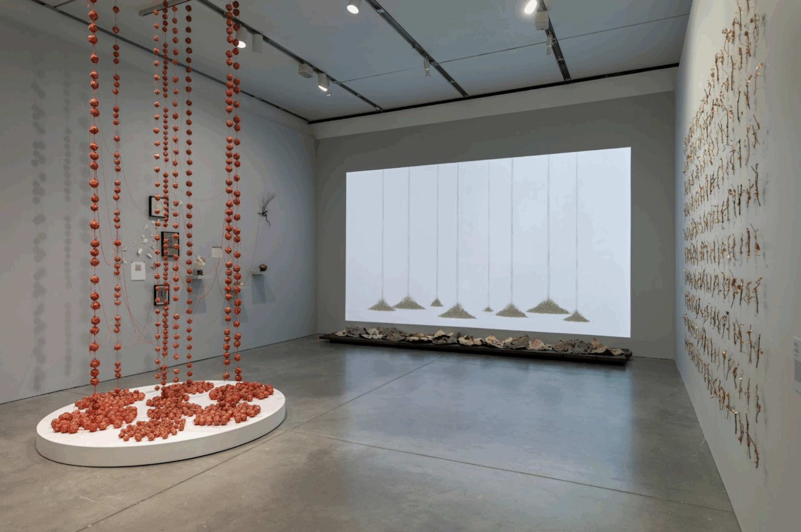 A dimly lit gallery installation with a projection on the back wall and small works installed on both adjacent walls in grids. Toward the center of the room is a circular, low pedestal on which red sculptures from the ceiling rest.