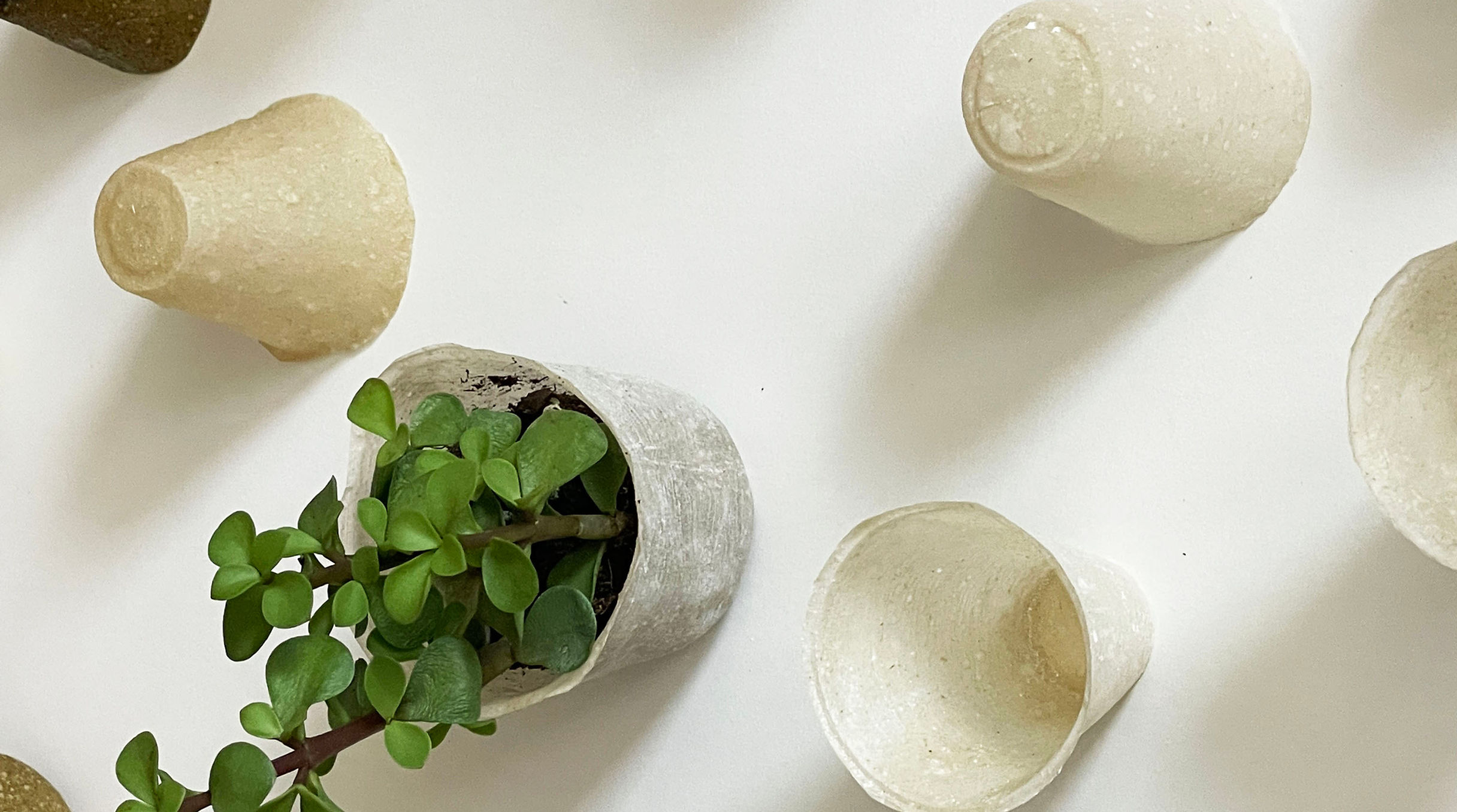 A tablescape showing planters right-side-up and upside-down. One of the planters has a small green plan in it.
