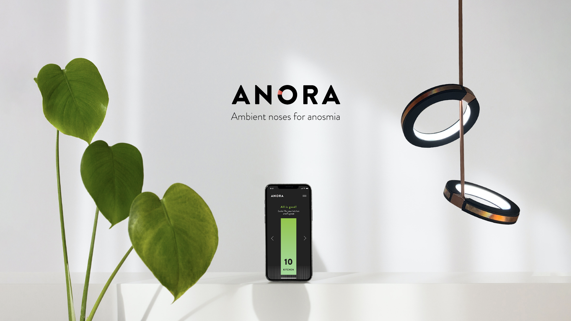 A phone stands against a white backdrop. To the left of the phone are the top leafs of a plant and to the left hangs two black, circular devices from a leather strip.