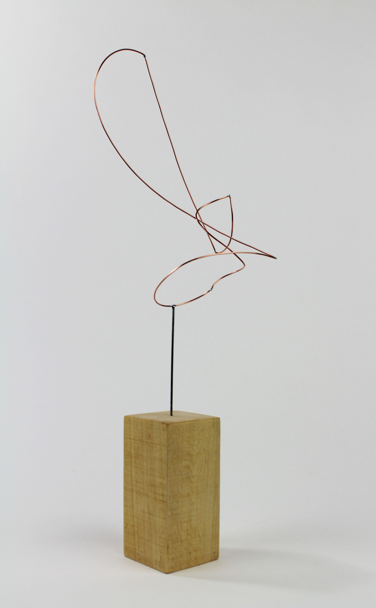a color photograph of a studio exercise featuring curved copper wire and a wood block