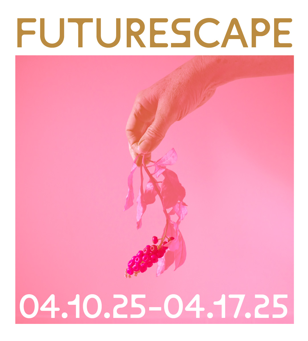 Pink background with 