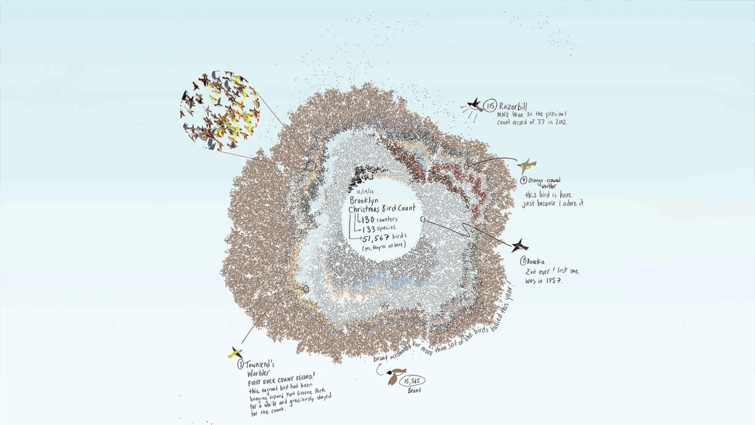Illustrated infographic of the 2022 Brooklyn Christmas Bird Count. At the center, text reads: 