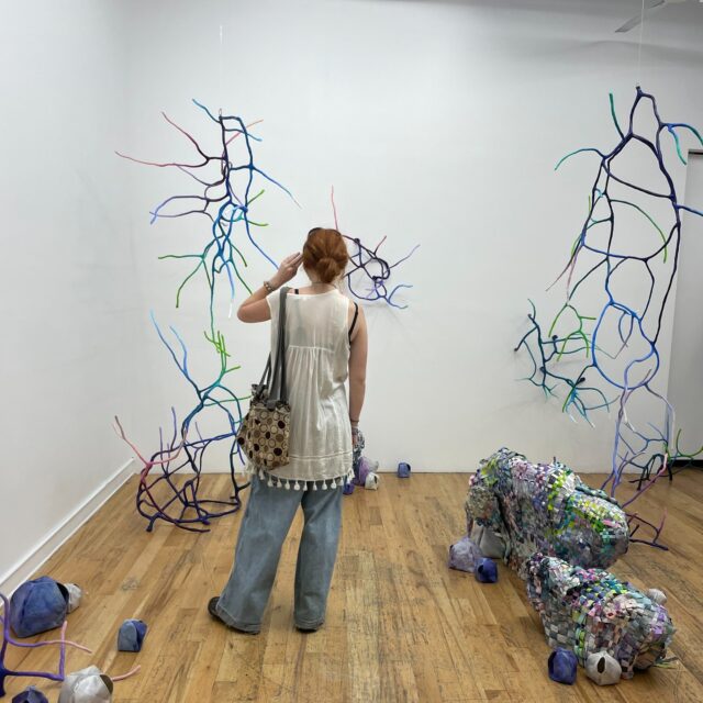 Our Design & Materiality class had an amazing visit to the @textileartscenter to experience the Artists in Residence Final Exhibition, a true celebration of creativity craftsmanship, and material innovation.

They also explored the @tatterbluelibrary, which hosts an impressive collection of books and objects about local and global textiles, rich historical and traditional techniques, as well as unique items that deepen our understanding of textile traditions worldwide.

We hope this trip sparks inspiration for each student’s personal projects!

@prattinstitute @prattfashion