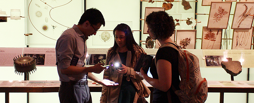 Three people observe a fossil with a flashlight inside a museum showroom.