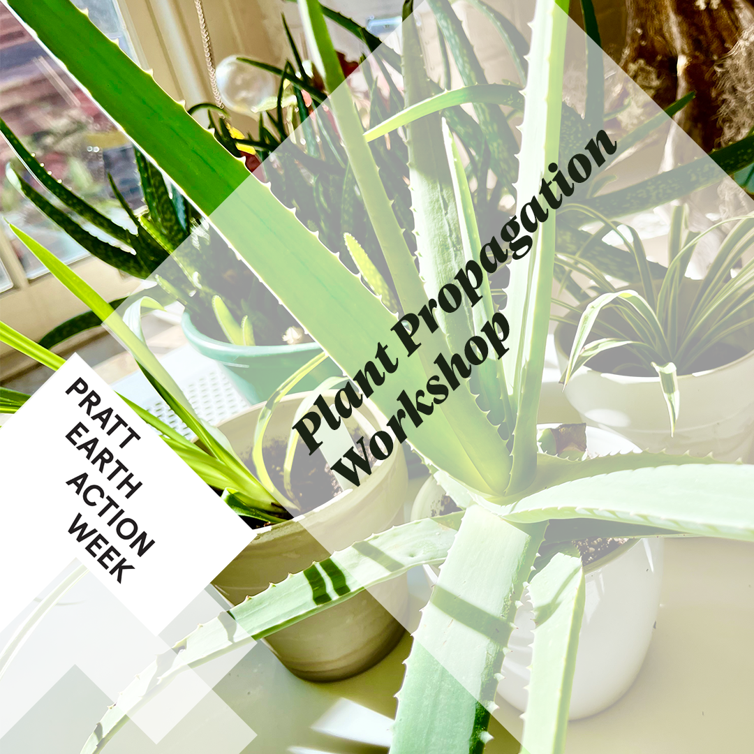 Event poster with a potted aloe vera plant, and 2 other smaller potted plants in the backdrop.