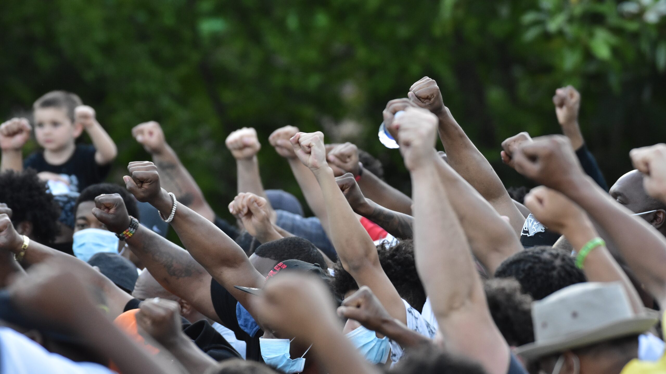 Image of a crowd holding their fist up.