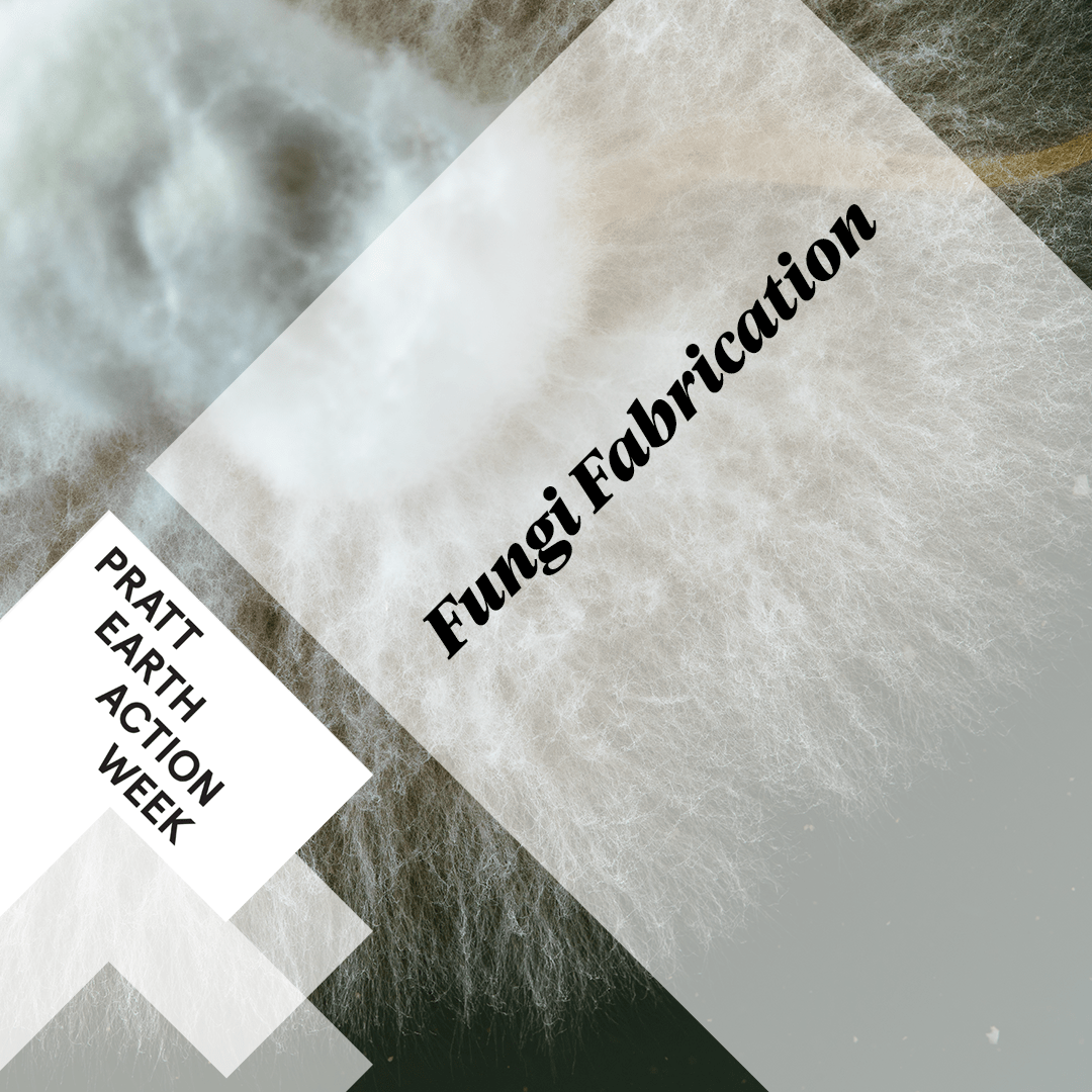 master thesis ux design image fo a fungus, with the title