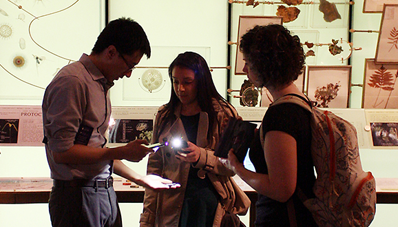 Three students, in museum, using their phone camera's to examine an artifact.