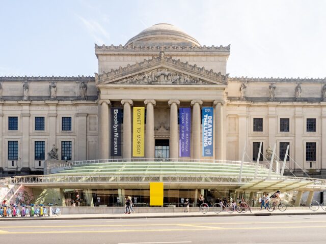 Do you love @brooklynmuseum? So do we! We are pleased to have three fellowships open now for applications at Brooklyn Museum in the area of archives, UX, and data! More information on these fellowships are available via the link in our bio.