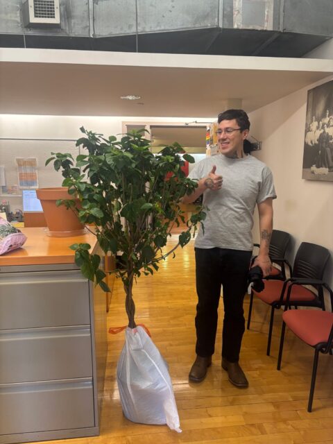 We are getting ready for our first ever Pratt iSchool Global Harvest Potluck on Wednesday, November 19 4:30-6:30pm on the 6th Floor of PMC.  Want to bring something to the potluck? Please sign-up via Google Sheet we sent out over the iSchool Google Groups. 

Thank you to Admin & Operation Manager Nene Villalobos for picking up what will become our Yoko Ono-inspired Wish Tree from the the Lowes in Gowanus!