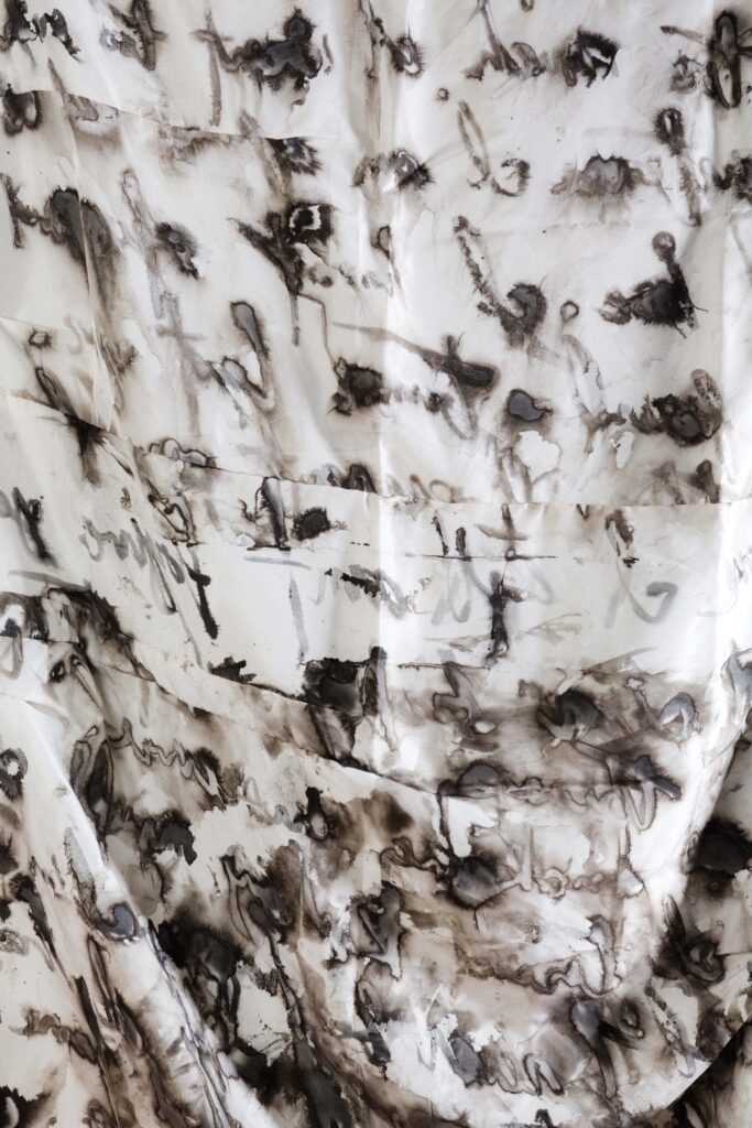 Homepage School of Liberal Arts and Sciences